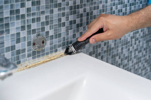 Best White Mold Remediation in Northville, NY